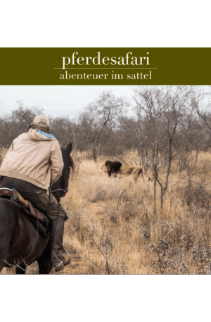 Gutschein pferdesafari