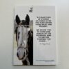 Stories from Estancia Los Potreros